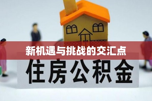 崂山新机遇与挑战的交汇点